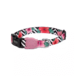 ZEEDOG COLLAR MAHALO MEDIUM