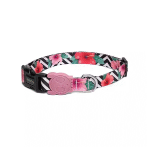 ZEEDOG COLLAR MAHALO MEDIUM