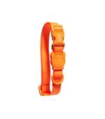 ZEEDOG COLLAR NEOPRO TANGERINE SMALL