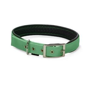 PET INTEREST M DOG COLLAR GREEN 50 CM