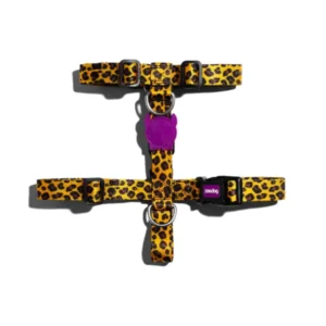 ZEEDOG HARNESS HONEY MEDIUM