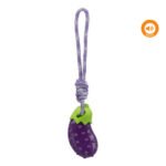 TRIXIE ΠΑΙΧΝΙΔΙ ΜΕΛΙΤΖΑΝΑ ΣΕ ΣΧΟΙΝΙ